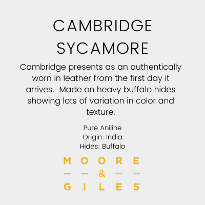 Cambridge Sycamore