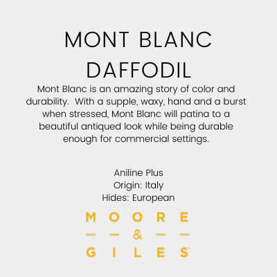Mont Blanc Daffodil